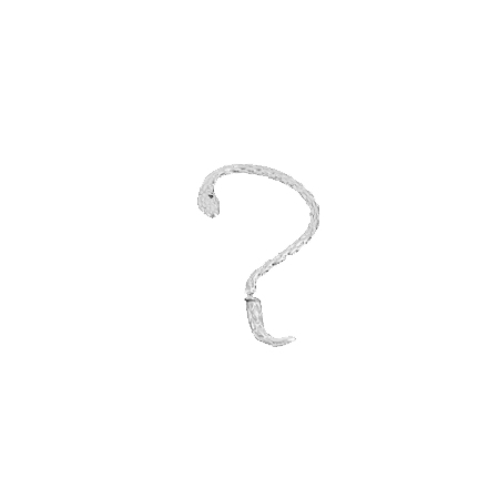 Snake Earrings